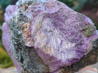 Natural Stichtite Cobbed Specimens x 6 From Barberton, South Africa