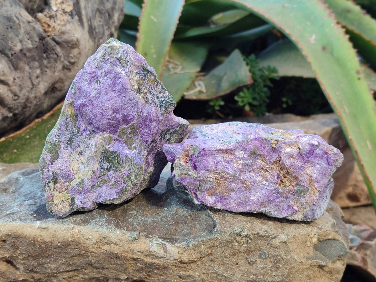 Natural Stichtite Cobbed Specimens x 6 From Barberton, South Africa - Toprock Gemstones and Minerals 