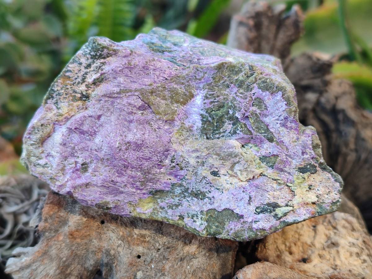 Natural Stichtite Cobbed Specimens x 6 From Barberton, South Africa - Toprock Gemstones and Minerals 