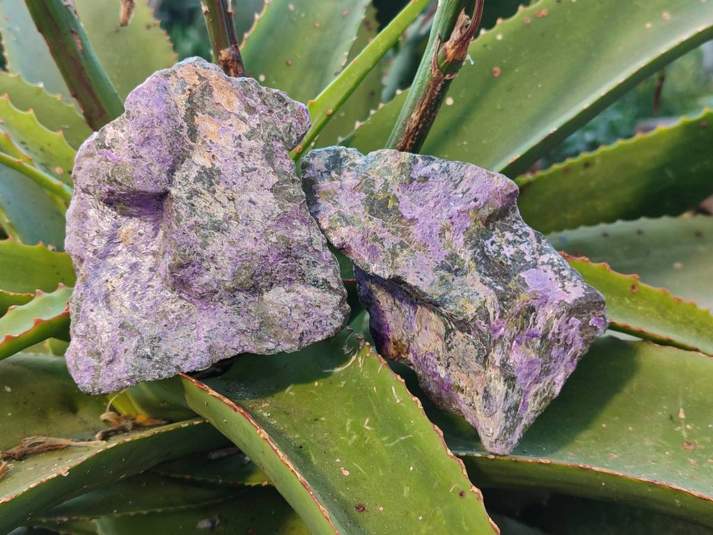Natural Stichtite Cobbed Specimens x 6 From Barberton, South Africa - Toprock Gemstones and Minerals 