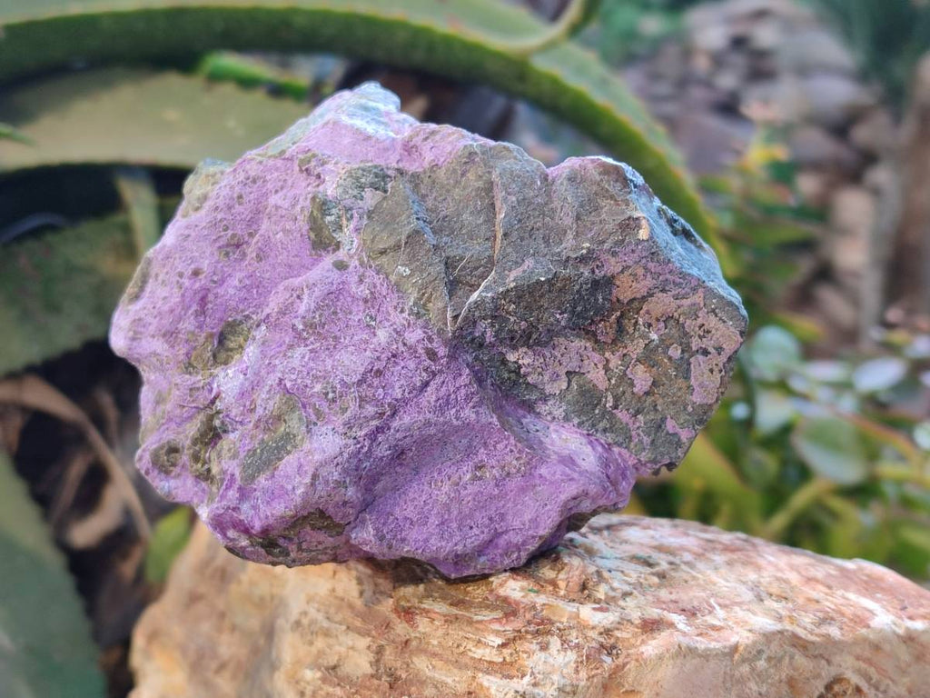 Natural Stichtite Cobbed Specimens x 6 From Barberton, South Africa - Toprock Gemstones and Minerals 
