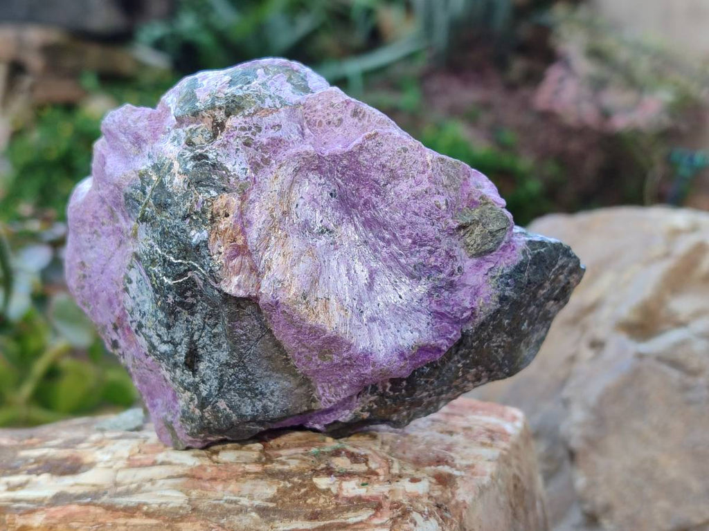 Natural Stichtite Cobbed Specimens x 6 From Barberton, South Africa - Toprock Gemstones and Minerals 