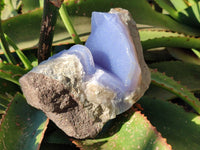 Natural Blue Lace Agate Geode Specimens x 3 From Nsanje, Malawi