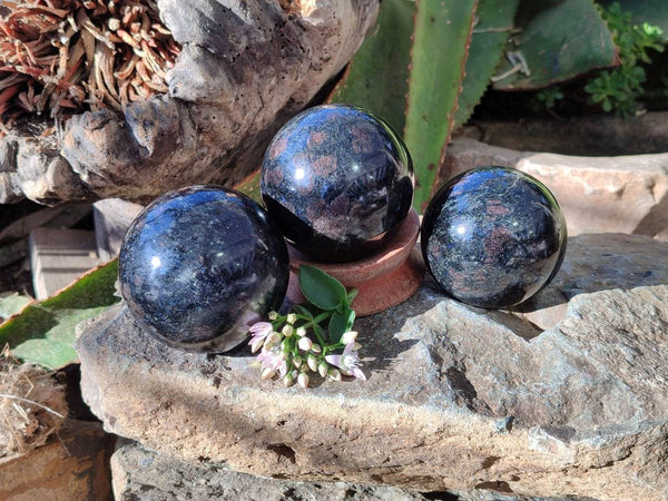 Polished Rare Blue Spark Iolite Water Sapphire Spheres x 3 From Ambatofinandrahana, Madagascar