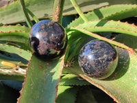 Polished Rare Blue Spark Iolite Water Sapphire Spheres x 3 From Ambatofinandrahana, Madagascar
