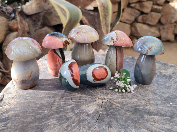 Polished Polychrome Jasper Mushrooms x 6 From Madagascar