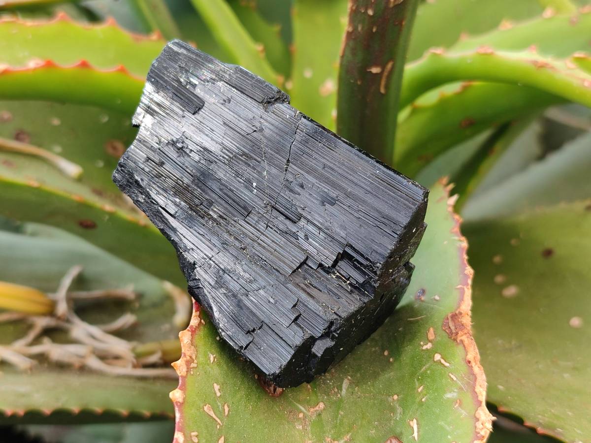 Natural Mixed Namibian Schorl Black Tourmaline Specimens x 12 From Khorigas and Erongo, Namibia - Toprock Gemstones and Minerals 