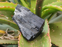 Natural Mixed Namibian Schorl Black Tourmaline Specimens x 12 From Khorigas and Erongo, Namibia
