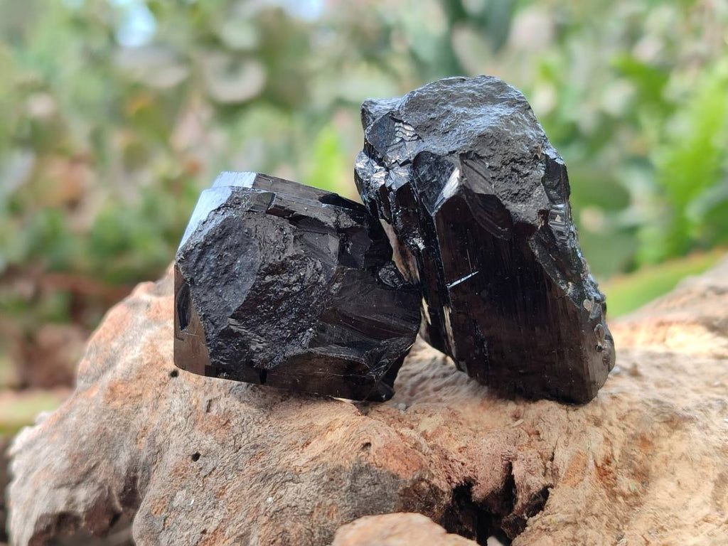 Natural Mixed Namibian Schorl Black Tourmaline Specimens x 12 From Khorigas and Erongo, Namibia - Toprock Gemstones and Minerals 