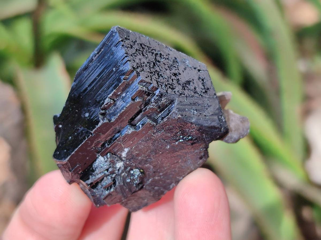 Natural Mixed Namibian Schorl Black Tourmaline Specimens x 12 From Khorigas and Erongo, Namibia - Toprock Gemstones and Minerals 