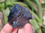 Natural Mixed Namibian Schorl Black Tourmaline Specimens x 12 From Khorigas and Erongo, Namibia - Toprock Gemstones and Minerals 