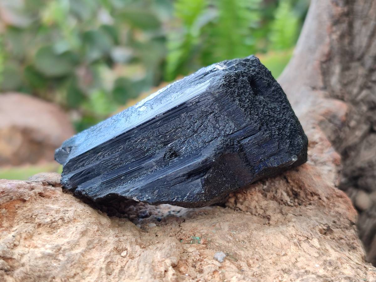 Natural Mixed Namibian Schorl Black Tourmaline Specimens x 12 From Khorigas and Erongo, Namibia - Toprock Gemstones and Minerals 