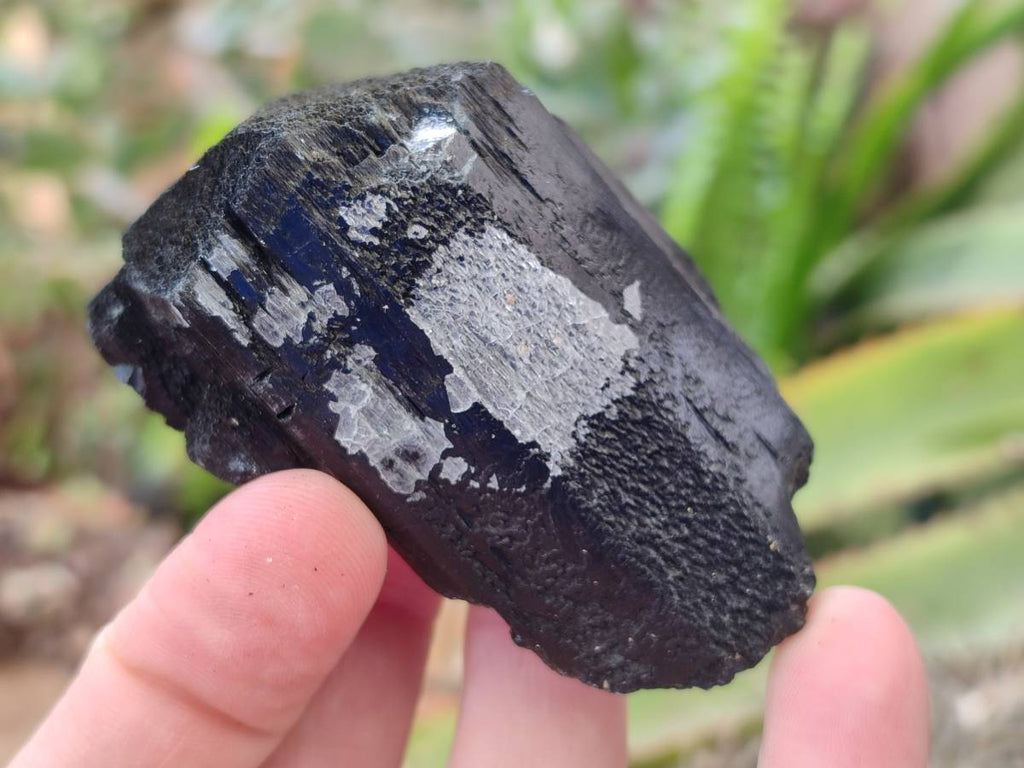Natural Mixed Namibian Schorl Black Tourmaline Specimens x 12 From Khorigas and Erongo, Namibia - Toprock Gemstones and Minerals 