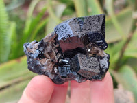 Natural Mixed Namibian Schorl Black Tourmaline Specimens x 12 From Khorigas and Erongo, Namibia