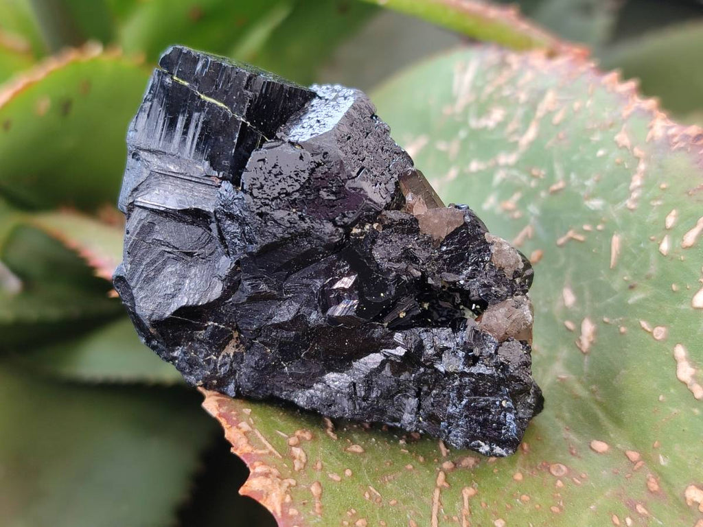 Natural Mixed Namibian Schorl Black Tourmaline Specimens x 12 From Khorigas and Erongo, Namibia - Toprock Gemstones and Minerals 