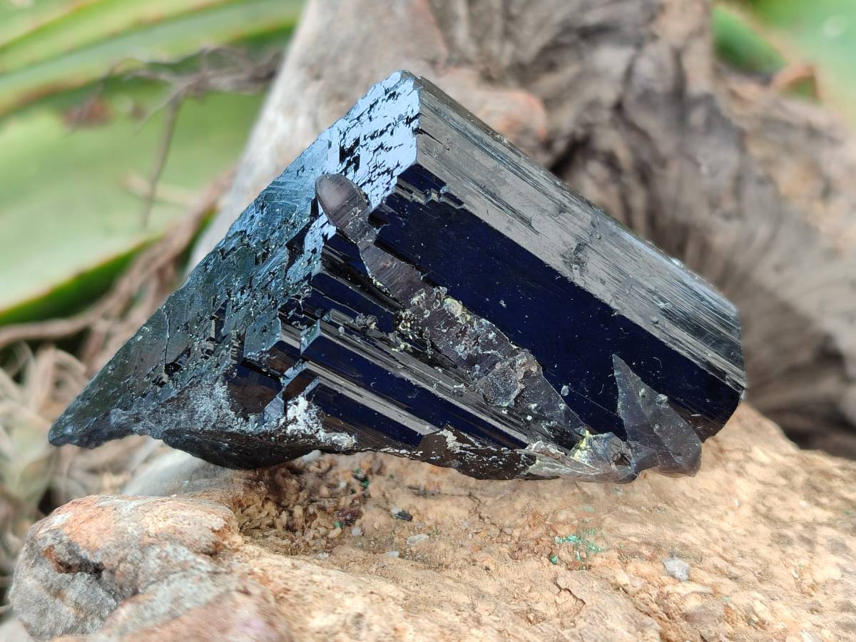 Natural Mixed Namibian Schorl Black Tourmaline Specimens x 12 From Khorigas and Erongo, Namibia - Toprock Gemstones and Minerals 