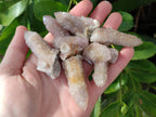 Natural Limonite Coated Fairy Spirit Quartz Clusters x 35 From Boekenhouthoek, South Africa - Toprock Gemstones and Minerals 