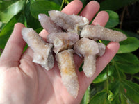 Natural Limonite Coated Fairy Spirit Quartz Clusters x 35 From Boekenhouthoek, South Africa
