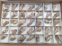 Natural Limonite Coated Fairy Spirit Quartz Clusters x 35 From Boekenhouthoek, South Africa