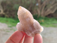 Natural Limonite Coated Fairy Spirit Quartz Clusters x 35 From Boekenhouthoek, South Africa
