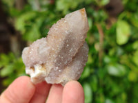 Natural Limonite Coated Fairy Spirit Quartz Clusters x 35 From Boekenhouthoek, South Africa