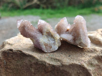 Natural Limonite Coated Fairy Spirit Quartz Clusters x 35 From Boekenhouthoek, South Africa