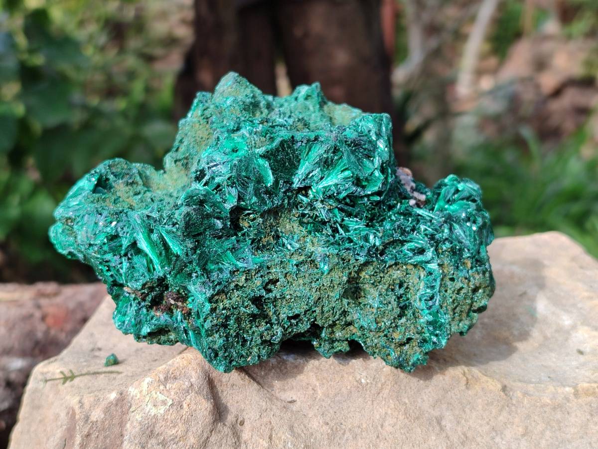 Natural Silky Malachite Specimens x 2 From Kasompe, Congo - Toprock Gemstones and Minerals 