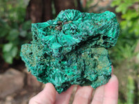 Natural Silky Malachite Specimens x 2 From Kasompe, Congo