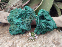 Natural Silky Malachite Specimens x 2 From Kasompe, Congo