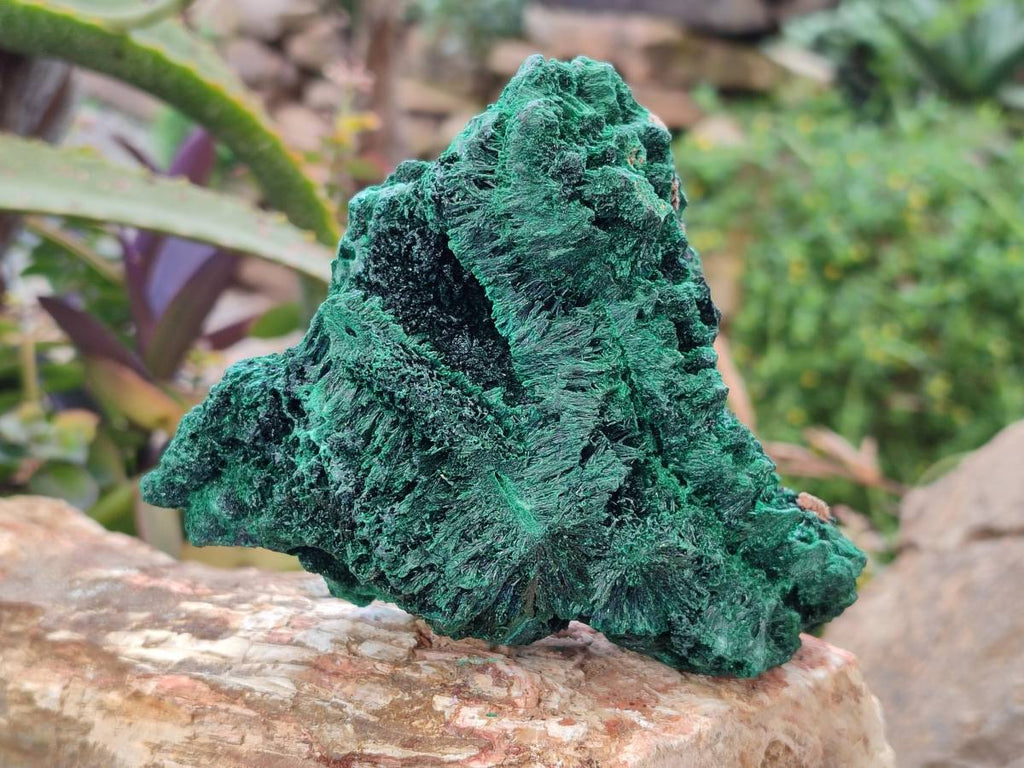 Natural Silky Malachite Specimens x 2 From Kasompe, Congo - Toprock Gemstones and Minerals 
