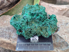 Natural Silky Malachite Specimens x 2 From Kasompe, Congo - Toprock Gemstones and Minerals 