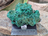 Natural Silky Malachite Specimens x 2 From Kasompe, Congo
