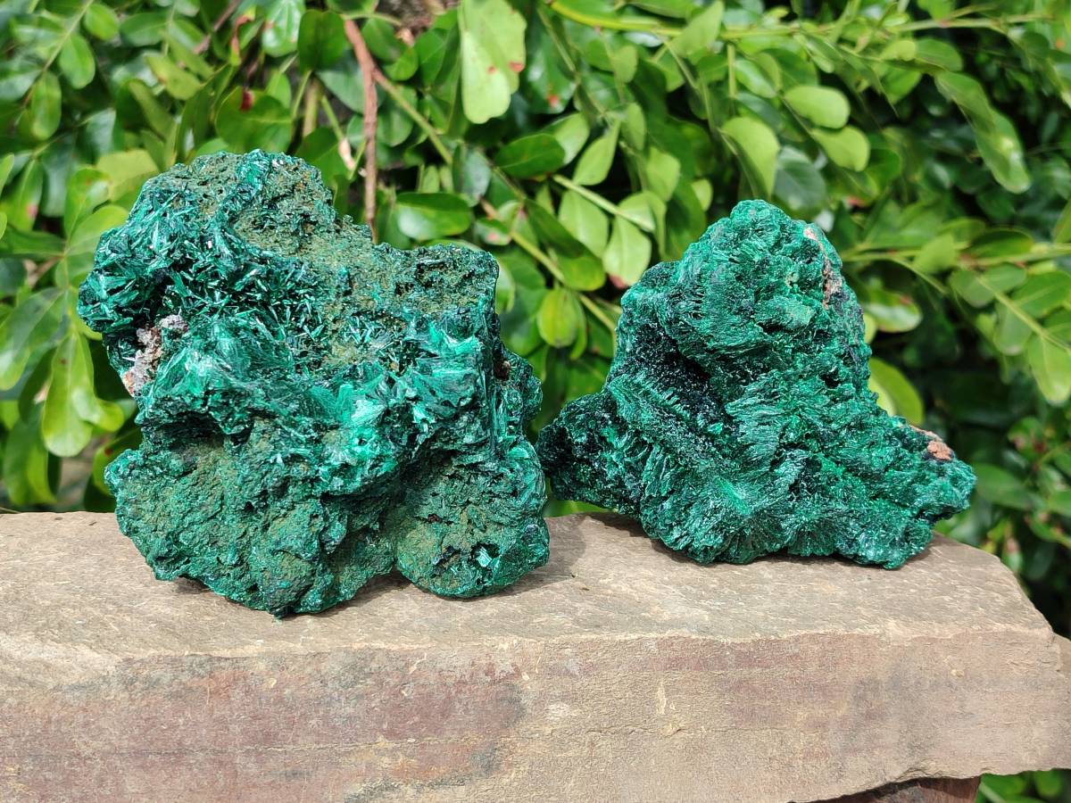 Natural Silky Malachite Specimens x 2 From Kasompe, Congo - Toprock Gemstones and Minerals 
