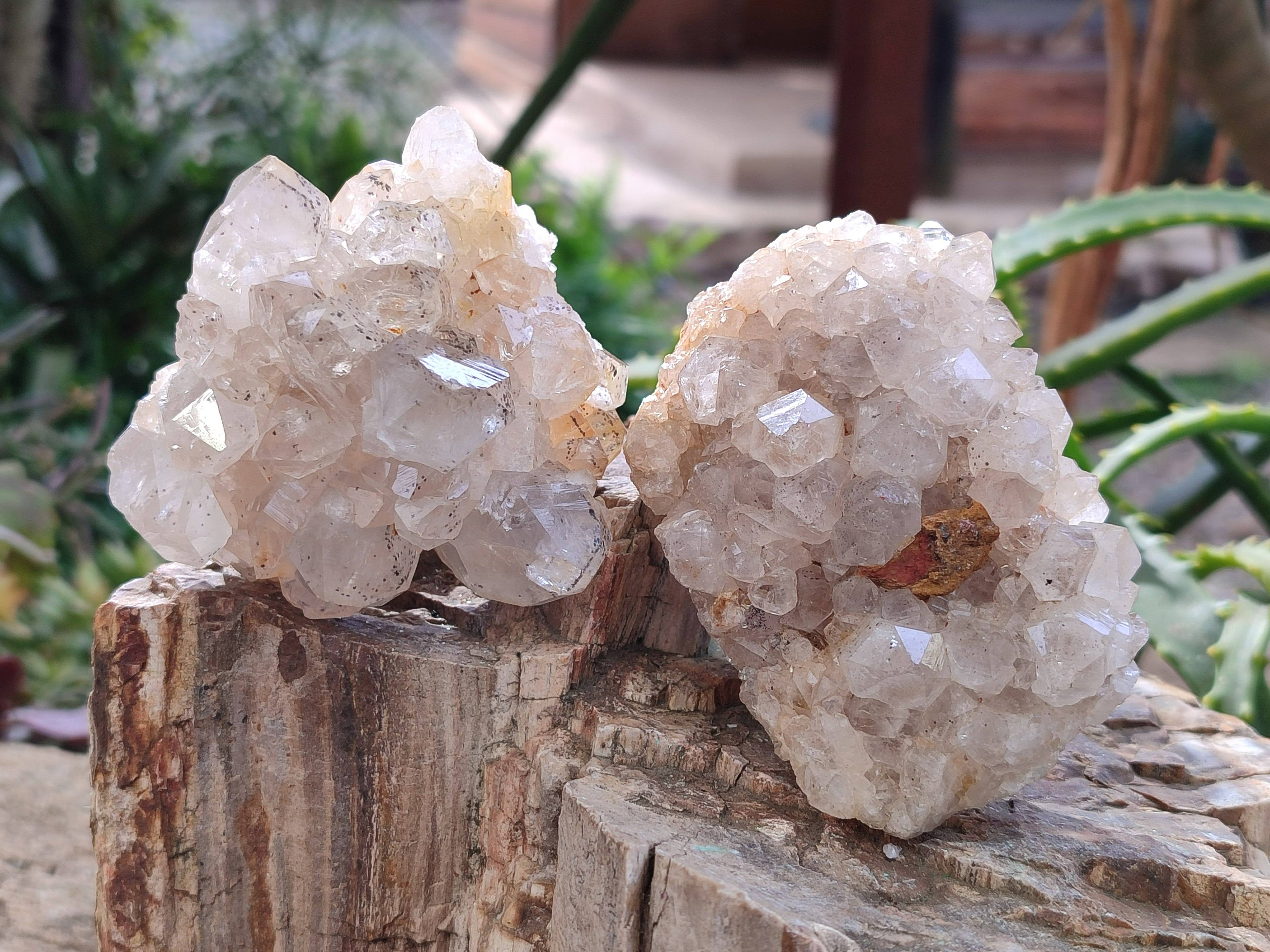 Natural Golden Limonite Quartz Clusters with Goethite Inclusions x 12 From Solwezi, Zambia - Toprock Gemstones and Minerals 