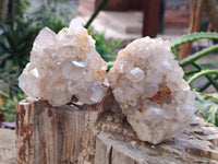 Natural Golden Limonite Quartz Clusters with Goethite Inclusions x 12 From Solwezi, Zambia
