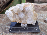 Natural Golden Limonite Quartz Clusters with Goethite Inclusions x 12 From Solwezi, Zambia
