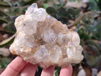 Natural Golden Limonite Quartz Clusters with Goethite Inclusions x 12 From Solwezi, Zambia