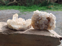 Natural Golden Limonite Quartz Clusters with Goethite Inclusions x 12 From Solwezi, Zambia