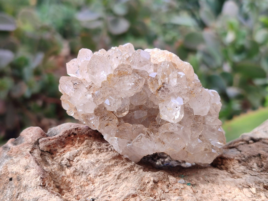 Natural Golden Limonite Quartz Clusters with Goethite Inclusions x 12 From Solwezi, Zambia - Toprock Gemstones and Minerals 