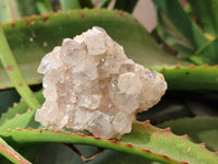 Natural Golden Limonite Quartz Clusters with Goethite Inclusions x 12 From Solwezi, Zambia