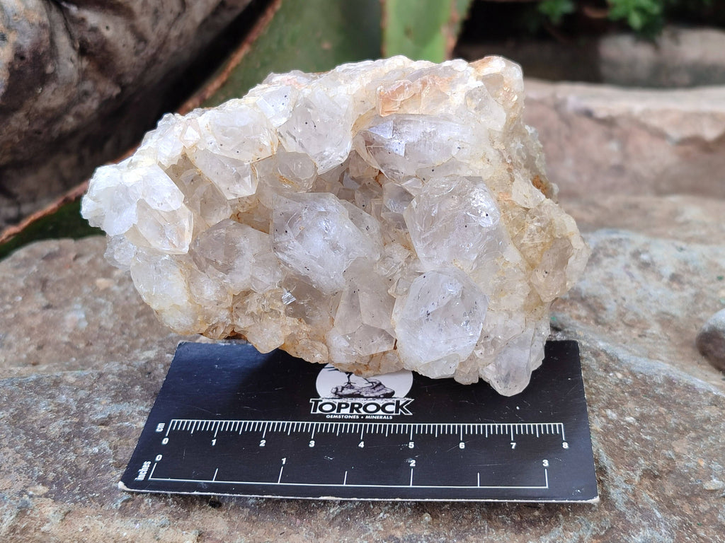 Natural Golden Limonite Quartz Clusters with Goethite Inclusions x 12 From Solwezi, Zambia - Toprock Gemstones and Minerals 
