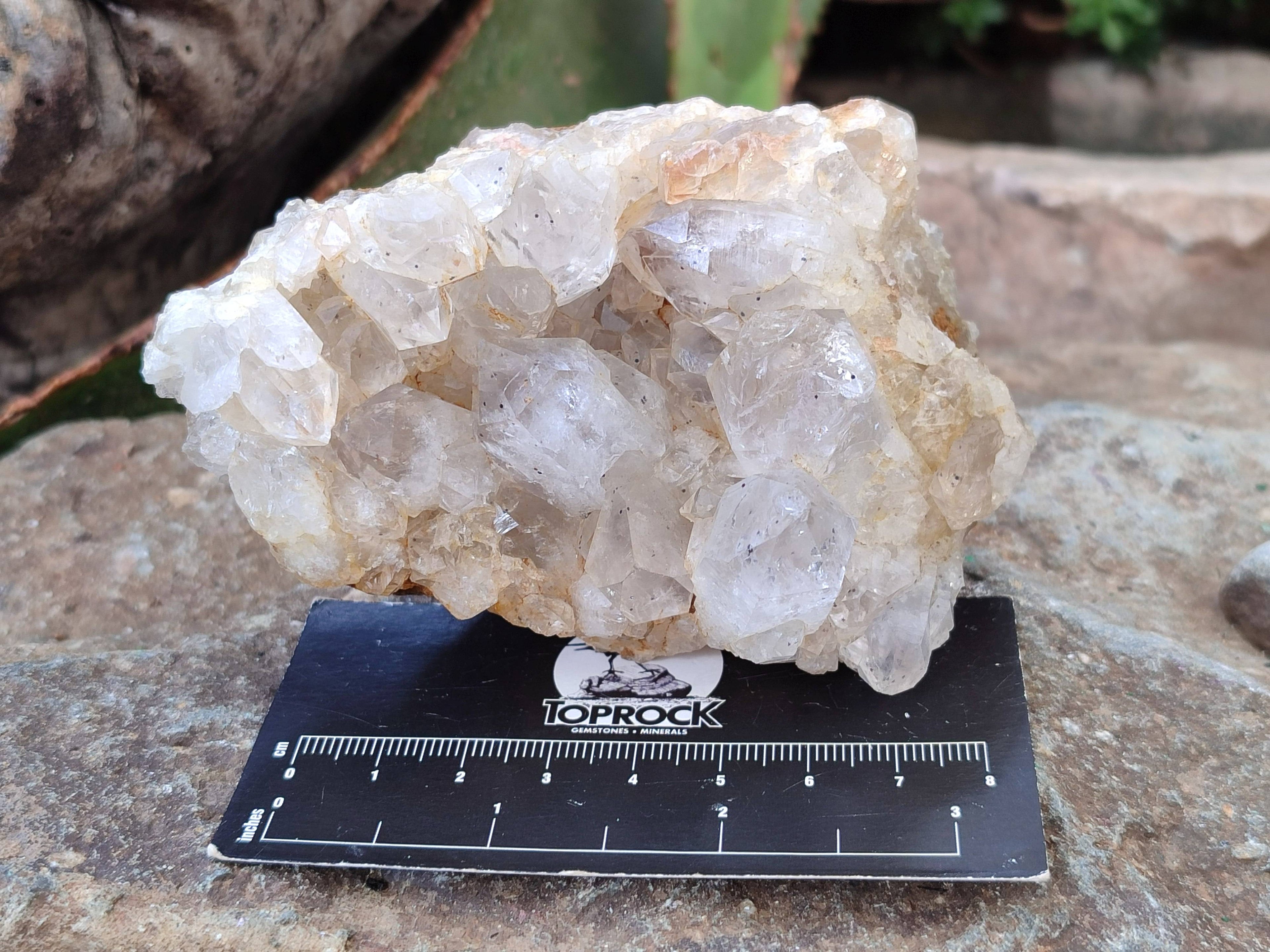 Natural Golden Limonite Quartz Clusters with Goethite Inclusions x 12 From Solwezi, Zambia - Toprock Gemstones and Minerals 