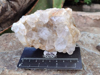 Natural Golden Limonite Quartz Clusters with Goethite Inclusions x 12 From Solwezi, Zambia