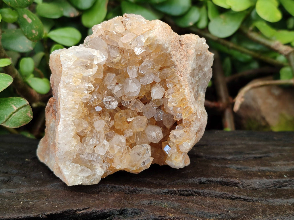 Natural Golden Limonite Quartz Clusters with Goethite Inclusions x 12 From Solwezi, Zambia - Toprock Gemstones and Minerals 