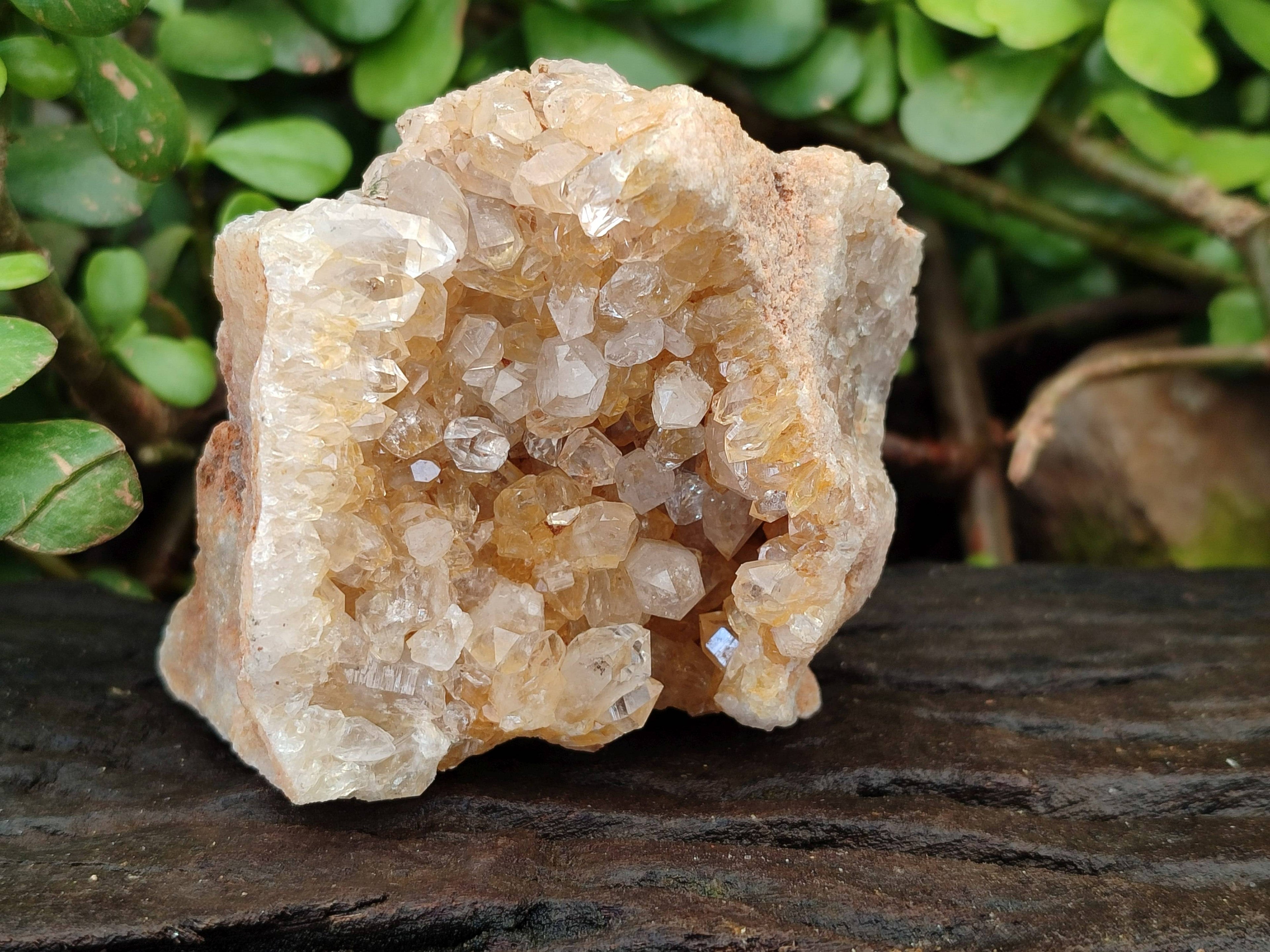 Natural Golden Limonite Quartz Clusters with Goethite Inclusions x 12 From Solwezi, Zambia - Toprock Gemstones and Minerals 