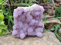 Natural A Grade Sunburst Amethyst Spirit Quartz Cluster x 1 From Boekenhouthoek, South Africa