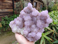 Natural A Grade Sunburst Amethyst Spirit Quartz Cluster x 1 From Boekenhouthoek, South Africa