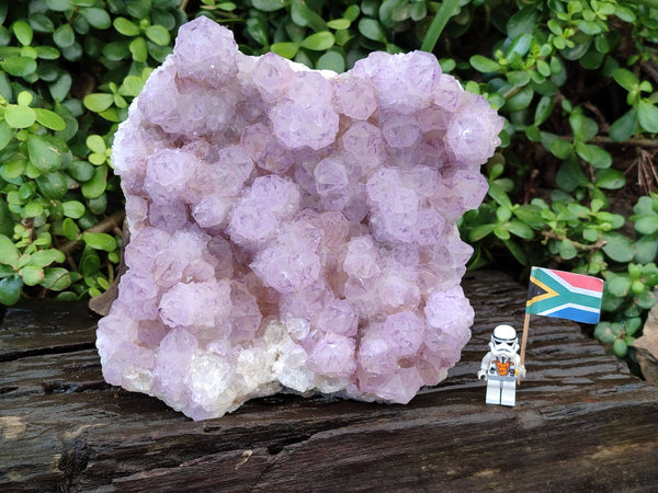 Natural A Grade Sunburst Amethyst Spirit Quartz Cluster x 1 From Boekenhouthoek, South Africa