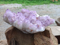 Natural A Grade Sunburst Amethyst Spirit Quartz Cluster x 1 From Boekenhouthoek, South Africa