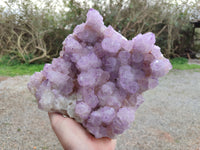Natural A Grade Sunburst Amethyst Spirit Quartz Cluster x 1 From Boekenhouthoek, South Africa